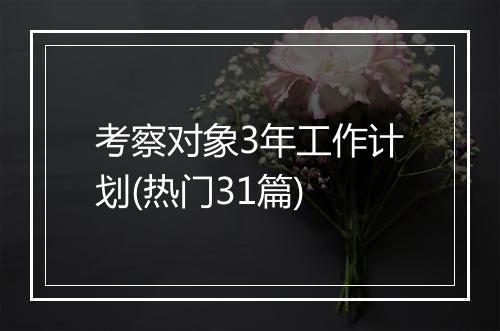 考察对象3年工作计划(热门31篇)