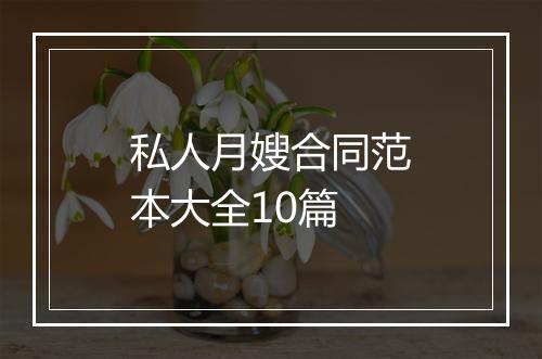 私人月嫂合同范本大全10篇