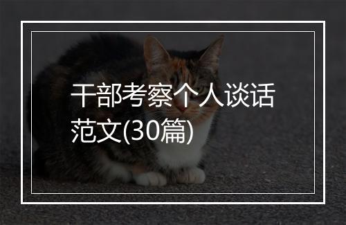 干部考察个人谈话范文(30篇)
