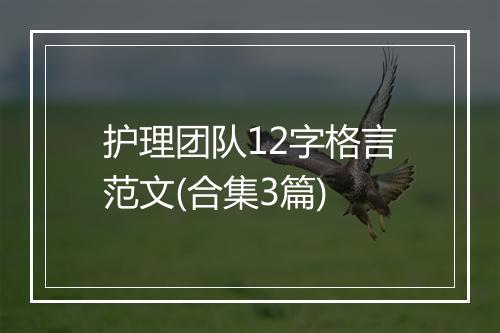 护理团队12字格言范文(合集3篇)