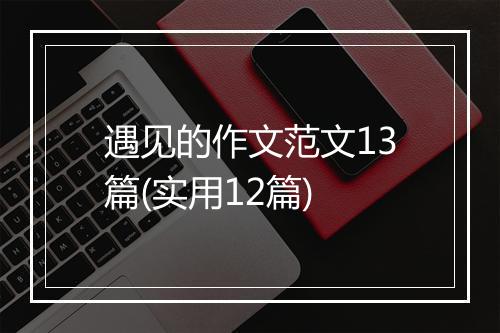 遇见的作文范文13篇(实用12篇)