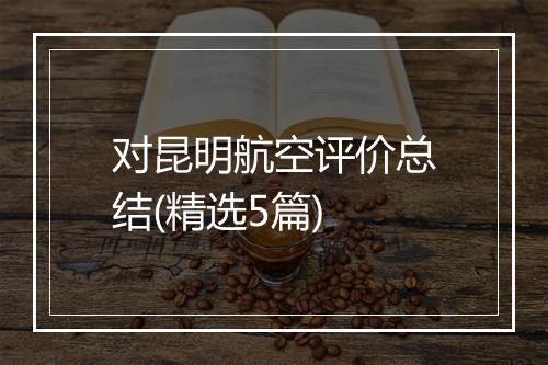 对昆明航空评价总结(精选5篇)