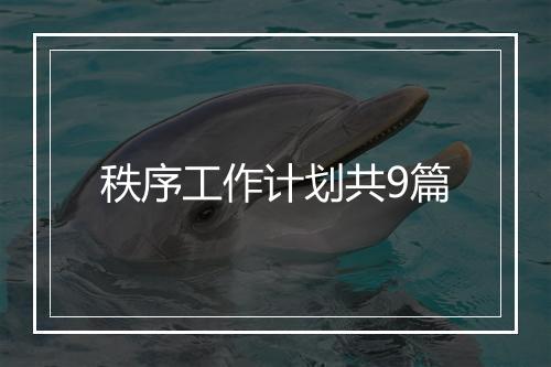 秩序工作计划共9篇