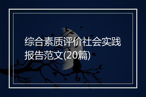 综合素质评价社会实践报告范文(20篇)