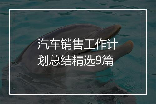 汽车销售工作计划总结精选9篇