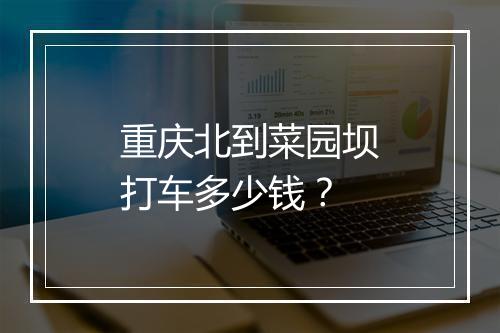重庆北到菜园坝打车多少钱？
