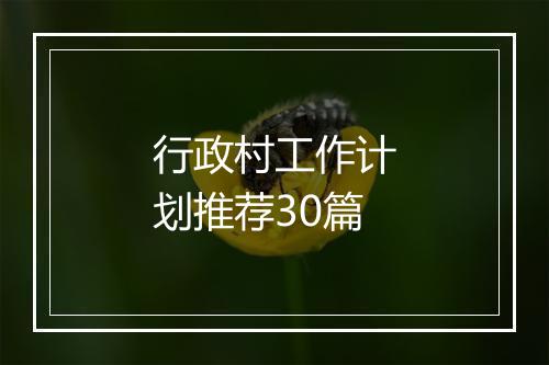 行政村工作计划推荐30篇