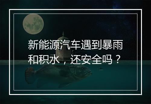 新能源汽车遇到暴雨和积水，还安全吗？