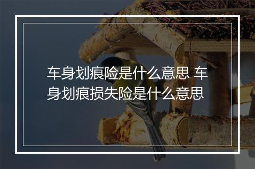 车身划痕险是什么意思 车身划痕损失险是什么意思