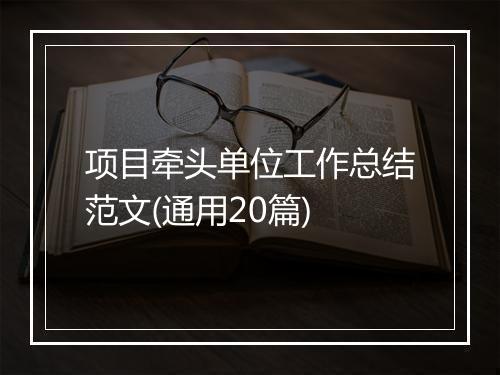 项目牵头单位工作总结范文(通用20篇)