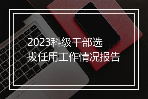 2023科级干部选拔任用工作情况报告