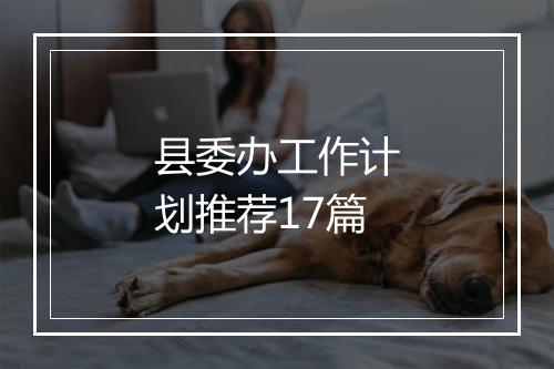 县委办工作计划推荐17篇