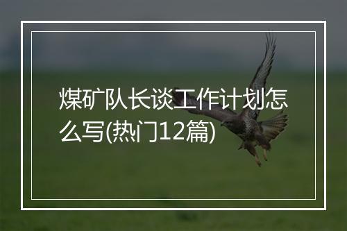 煤矿队长谈工作计划怎么写(热门12篇)