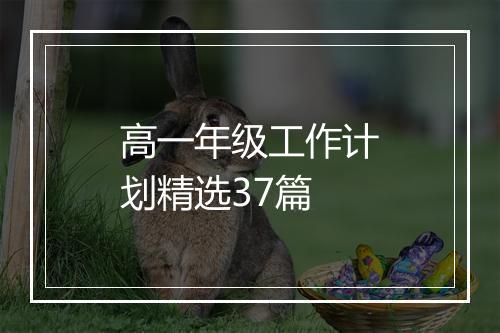 高一年级工作计划精选37篇