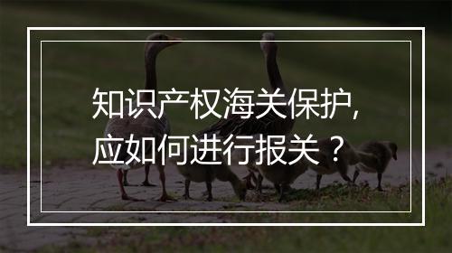 知识产权海关保护,应如何进行报关？