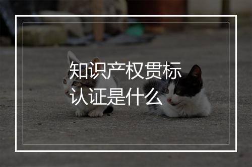 知识产权贯标认证是什么