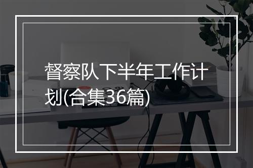 督察队下半年工作计划(合集36篇)