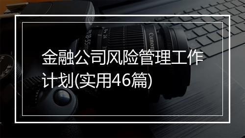 金融公司风险管理工作计划(实用46篇)