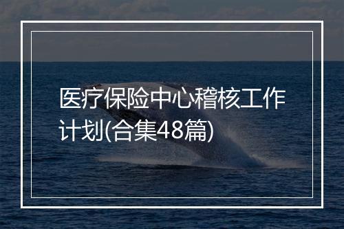医疗保险中心稽核工作计划(合集48篇)