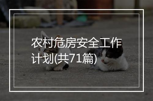 农村危房安全工作计划(共71篇)