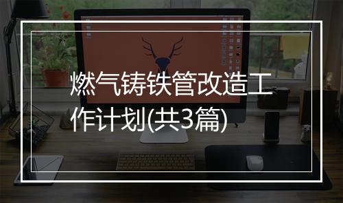 燃气铸铁管改造工作计划(共3篇)