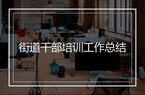 街道干部培训工作总结