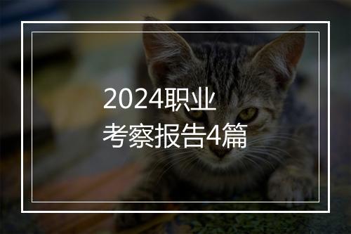 2024职业考察报告4篇