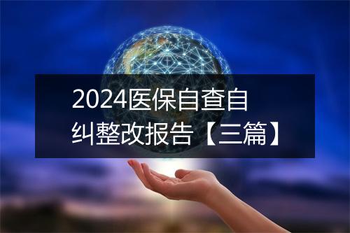 2024医保自查自纠整改报告【三篇】