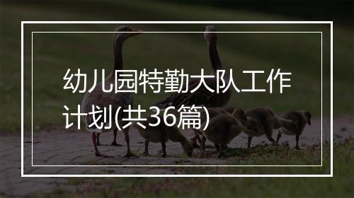 幼儿园特勤大队工作计划(共36篇)