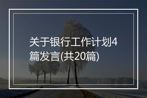 关于银行工作计划4篇发言(共20篇)