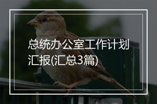 总统办公室工作计划汇报(汇总3篇)