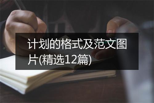 计划的格式及范文图片(精选12篇)