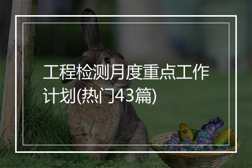 工程检测月度重点工作计划(热门43篇)