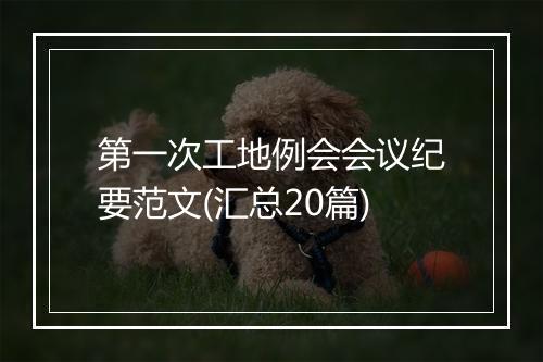 第一次工地例会会议纪要范文(汇总20篇)