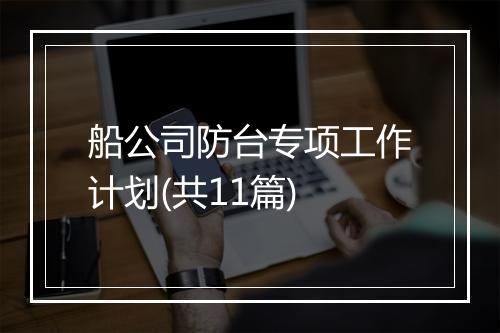 船公司防台专项工作计划(共11篇)