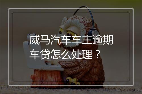 威马汽车车主逾期车贷怎么处理？