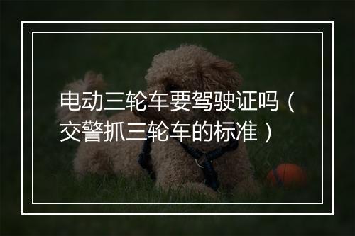电动三轮车要驾驶证吗（交警抓三轮车的标准）