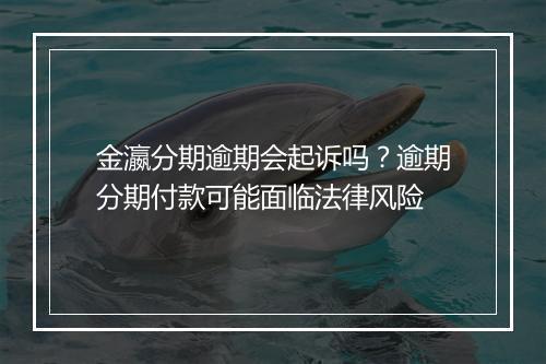 金瀛分期逾期会起诉吗？逾期分期付款可能面临法律风险