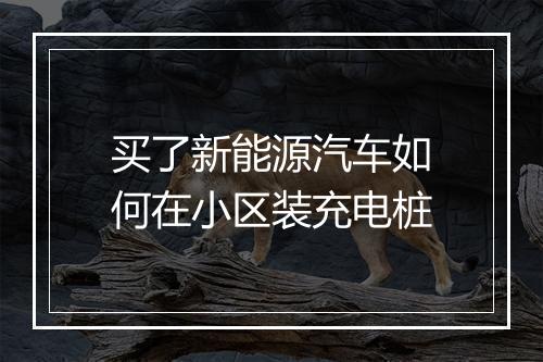 买了新能源汽车如何在小区装充电桩