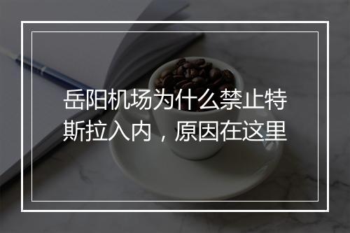 岳阳机场为什么禁止特斯拉入内，原因在这里