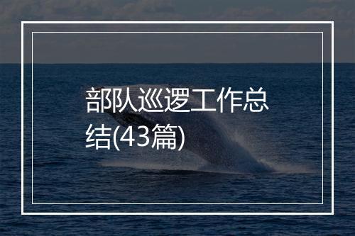 部队巡逻工作总结(43篇)