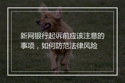 新网银行起诉前应该注意的事项，如何防范法律风险