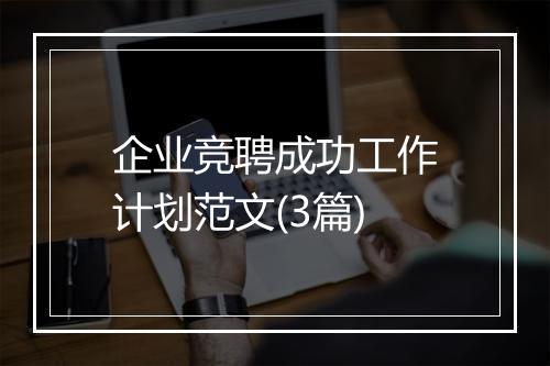 企业竞聘成功工作计划范文(3篇)