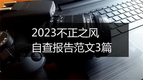 2023不正之风自查报告范文3篇