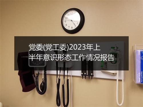 党委(党工委)2023年上半年意识形态工作情况报告