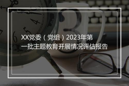 XX党委（党组）2023年第一批主题教育开展情况评估报告