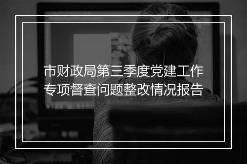 市财政局第三季度党建工作专项督查问题整改情况报告