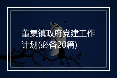 董集镇政府党建工作计划(必备20篇)