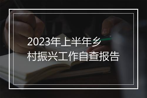 2023年上半年乡村振兴工作自查报告