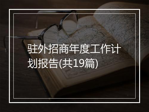 驻外招商年度工作计划报告(共19篇)